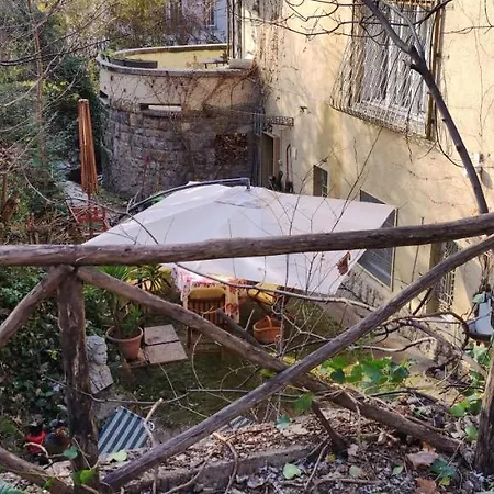 Hedgehog Shelter Budapest