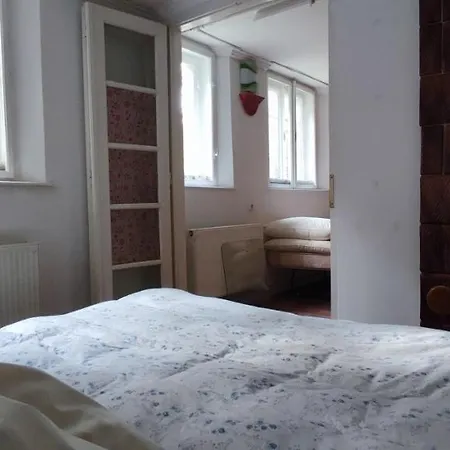 Hedgehog Shelter Budapest